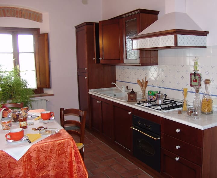Agriturismo Tenuta Buccialla Vinci (Fi) - Violetta - Vinci