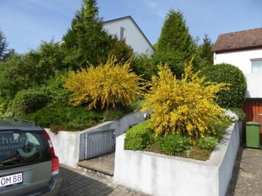 Im Frühling zur Ginsterblüte; vor dem Haus gibt es Parkplatz