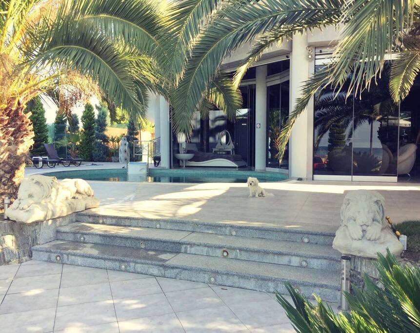 Garden with Pool