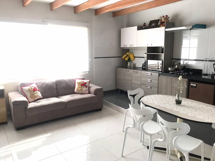Loft/Studio ApartmentSan Isidro FinancialCenter Lofts en alquiler en