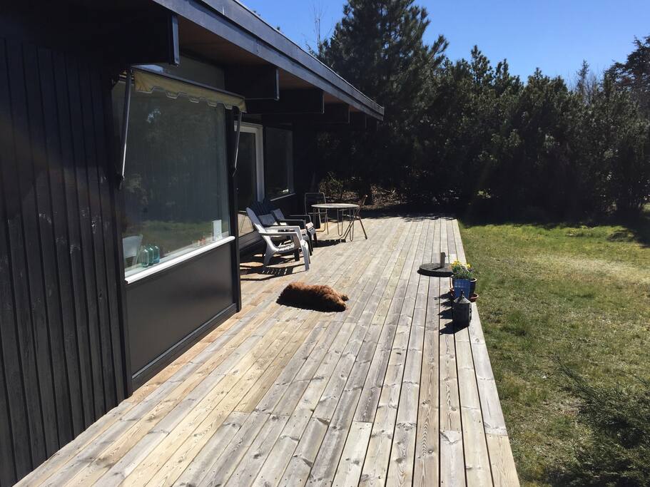 Kæmpe sydvendt terrasse