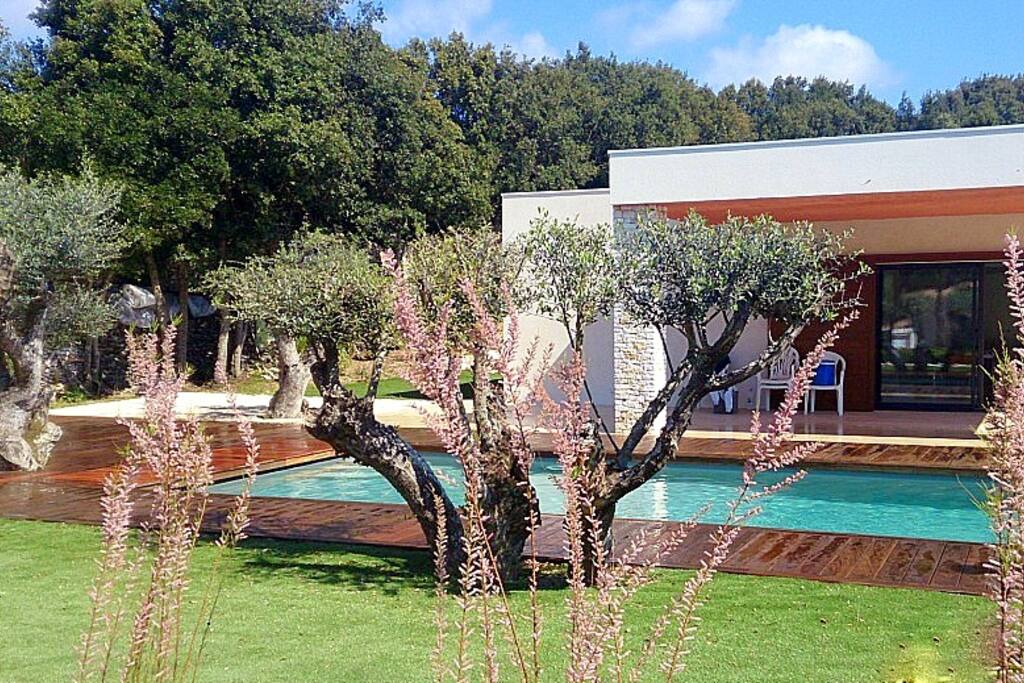piscine