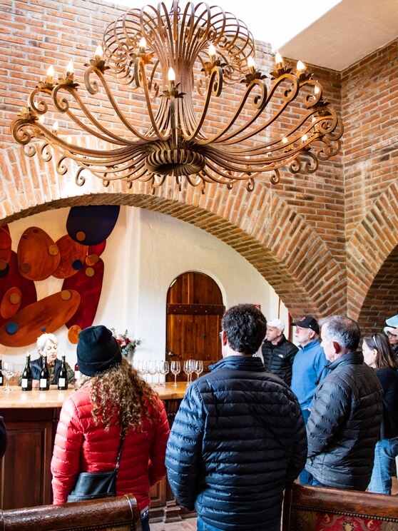 Show full-screen, host-provided image