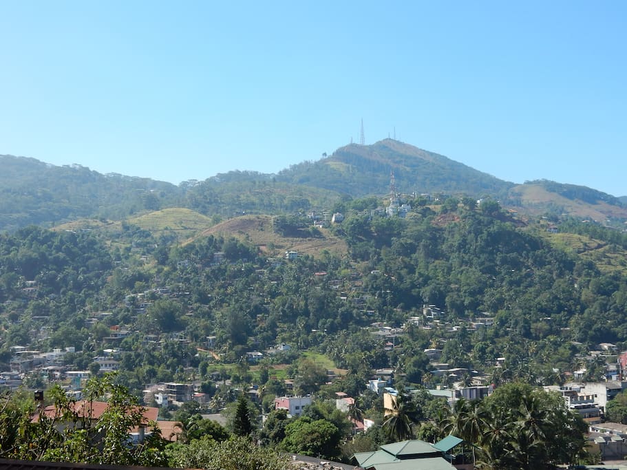 View from the main house