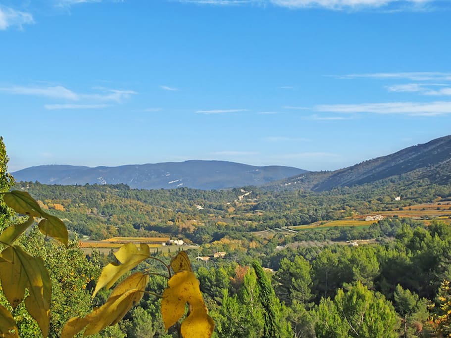VIEW - from the master bedroom patio!