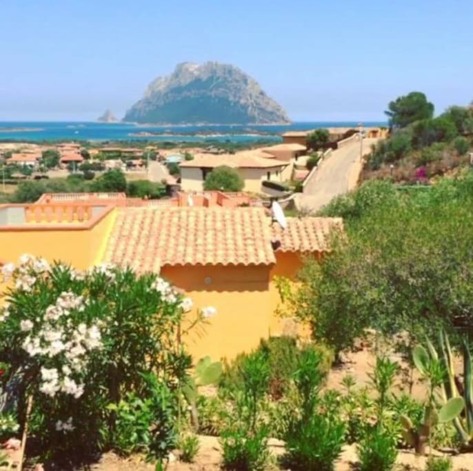 Villa vue de la terrasse sur la mer
