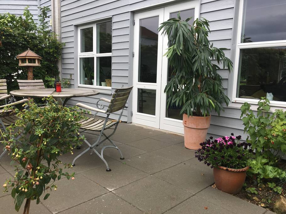 Front garden
