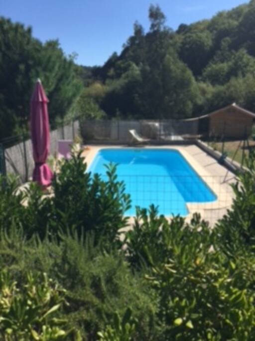 Family Pool