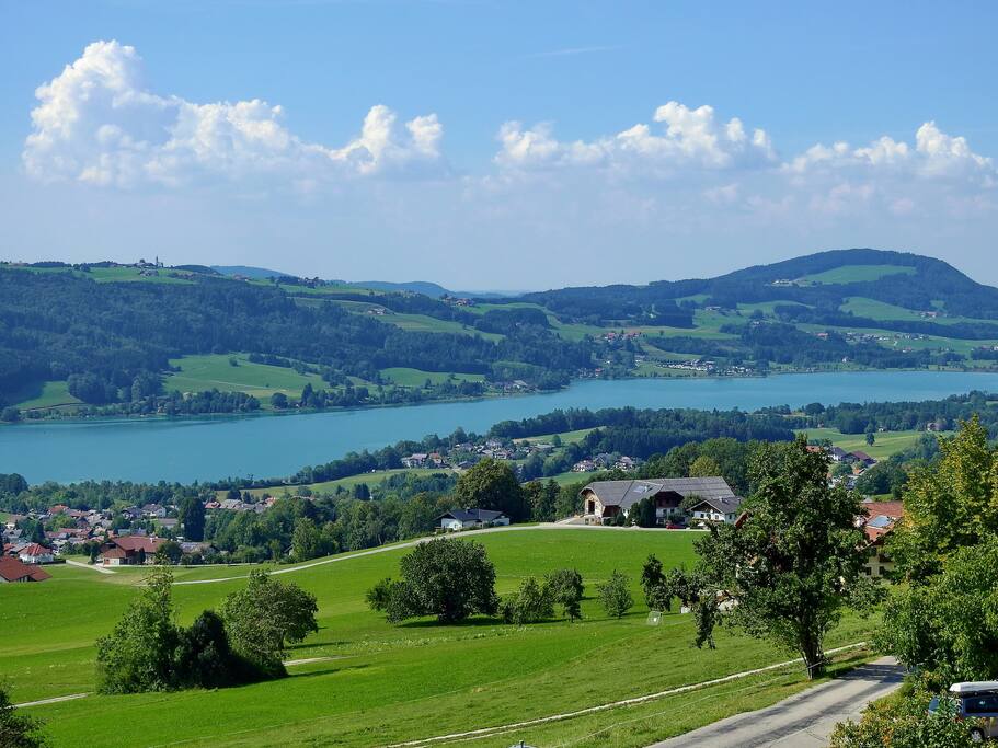 Blick von der Terrasse