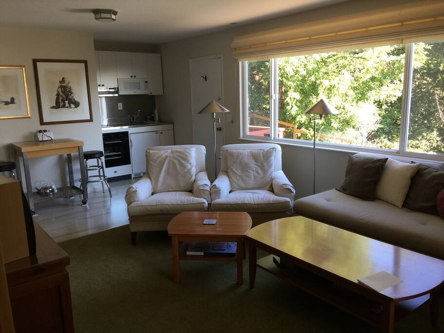 Living room and kitchen with garden views