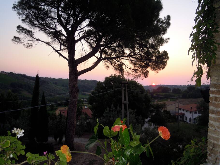 L'alba dalla terrazza della Limonaia