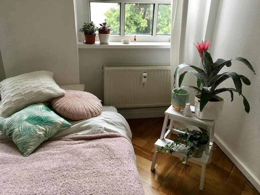 Window corner