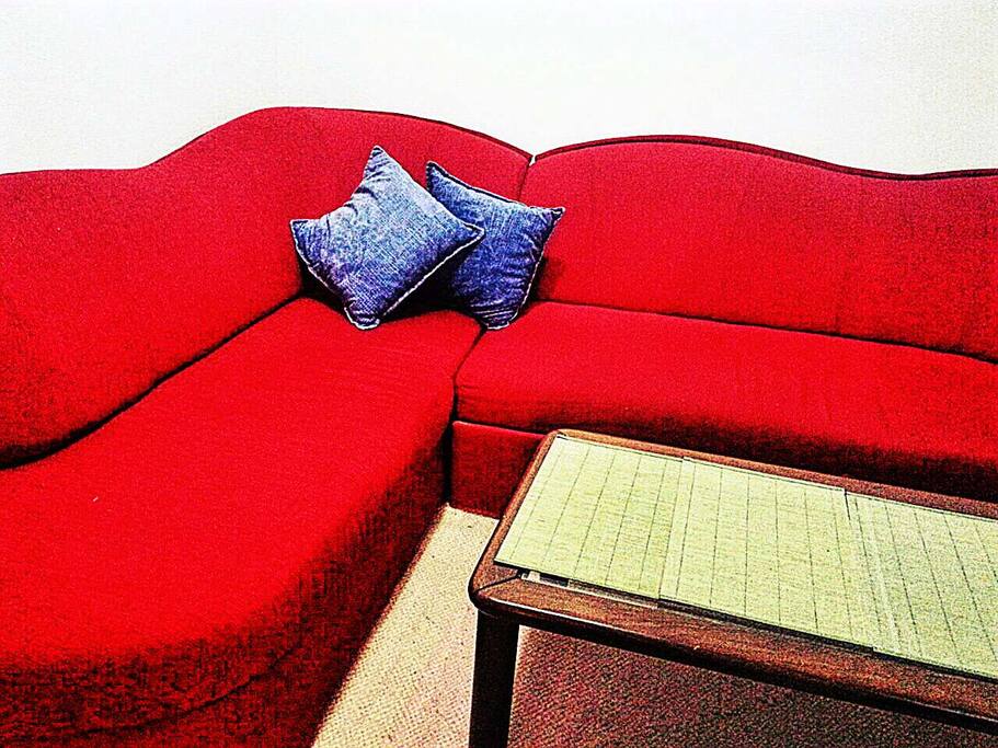 Living Room ( Sofa can be used as additional bed for two )