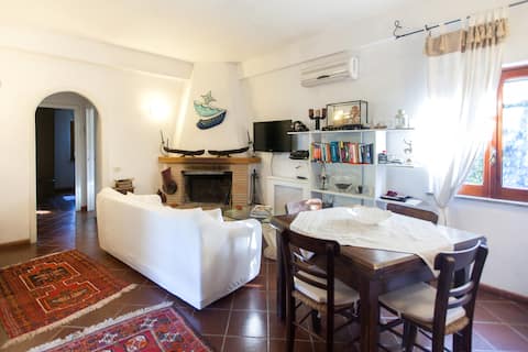 Tenuta Borgo Caere - an oasis 30 minutes from Rome