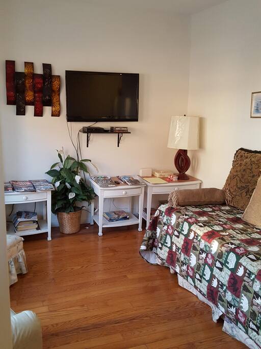 Comfortable living room area can be used to relax and can double up as an extra bed to accommodate more guests.