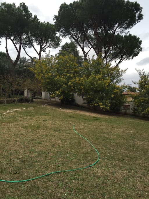 giardino anteriore