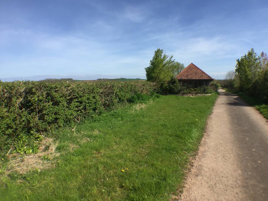 Roobies Lane, west facing front patio of the barn
