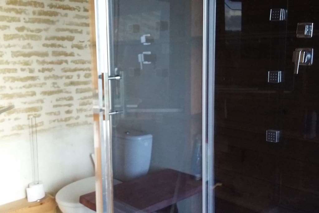 Cabine de douche double avec jets de massage et WC.