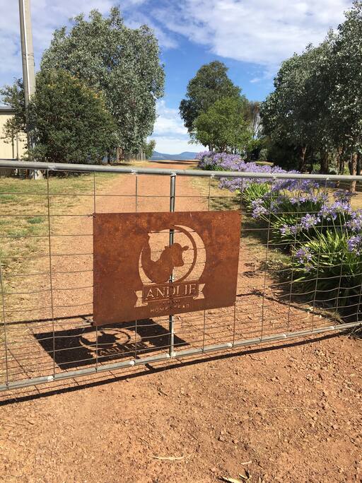 Front gate