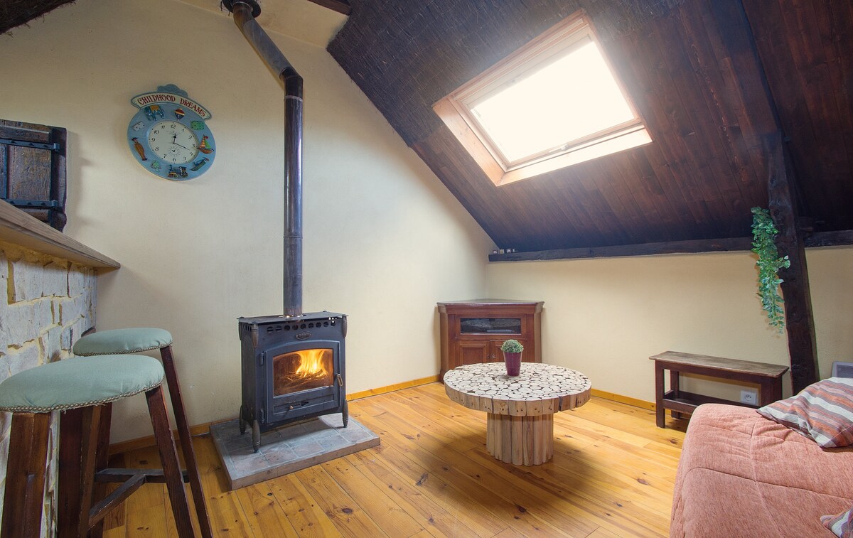 A cozy living area features a rustic wood-burning stove, providing warmth and character. Natural light fills the space through the skylight, highlighting the wooden floors and a round coffee table. A comfortable seating area includes a soft orange couch and simple wood furniture.