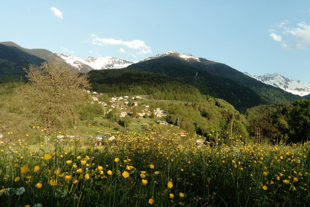 Vue au printemps