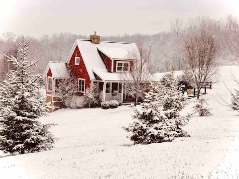 Hallmark Getaway~in a meadow with our minidonkeys!