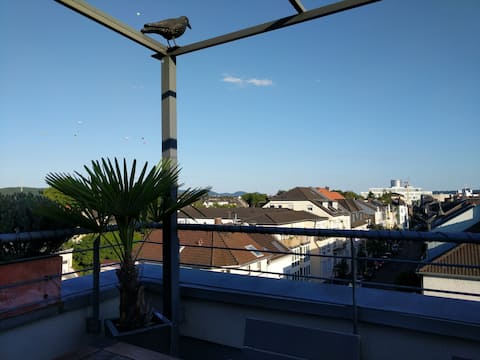 über den Dächern Bonns: schönes Zimmer mit Bad