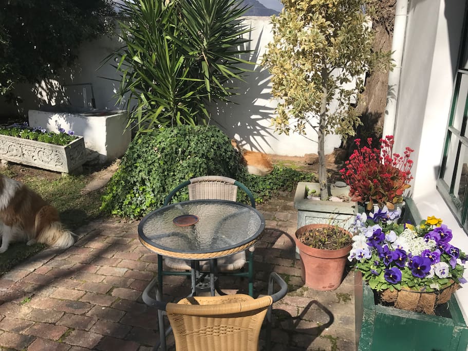 Patio area