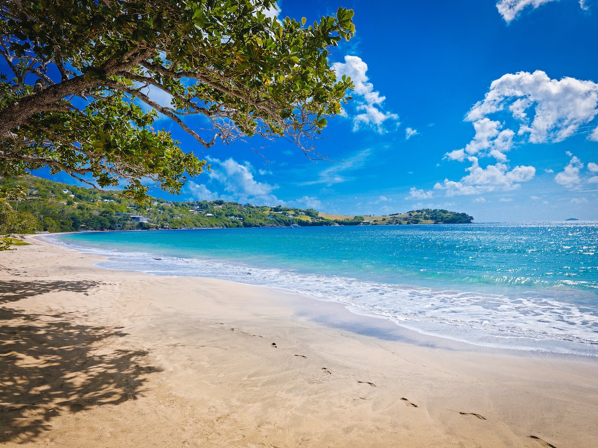 A tranquil beach scene is depicted with soft sand stretching along the shoreline. Gentle waves lap at the water's edge, while the clear blue ocean sparkles under a bright sky filled with fluffy clouds. Lush greenery is visible in the background, enhancing the natural beauty.