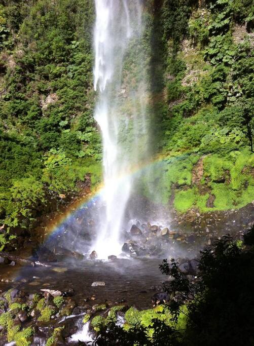 A sólo 1 km de las cabañas se encuentra el Salto Malalco.
