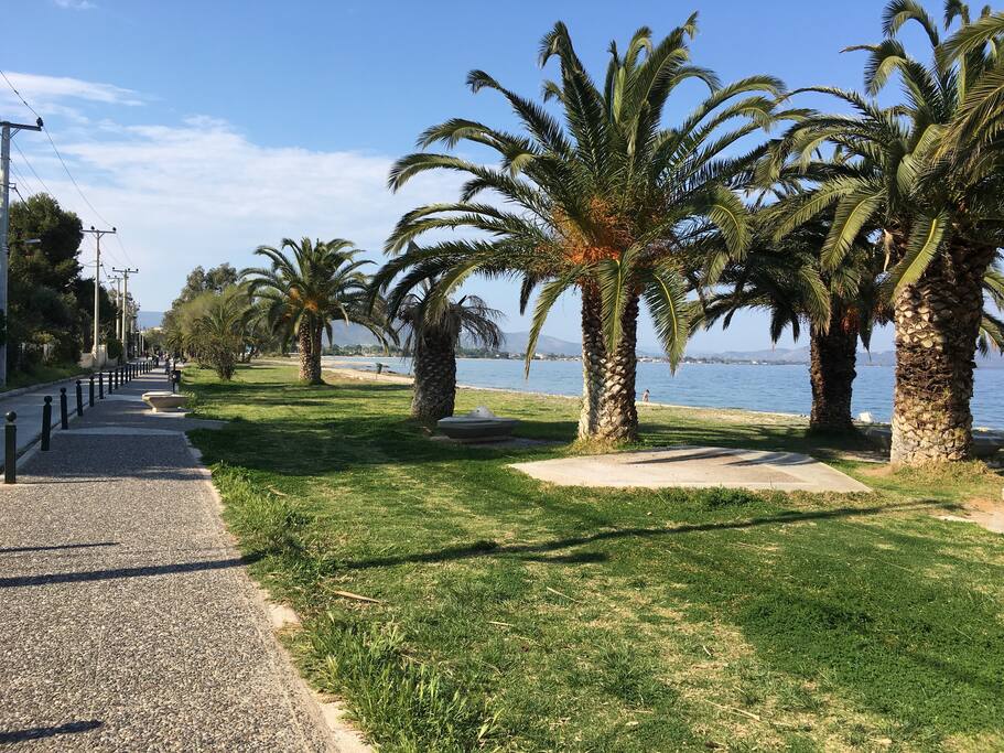 Sea-side promenade: sandy beach, grass, palm trees!