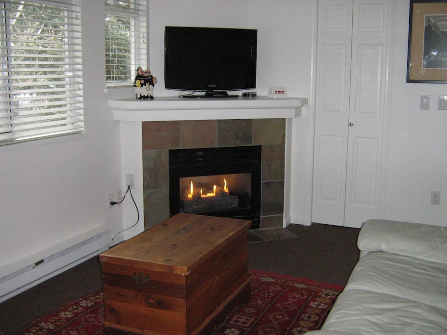 Fireplace and sofa bed