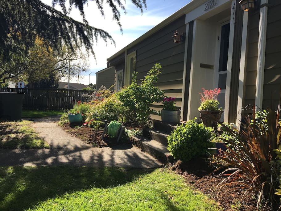 The front stoop