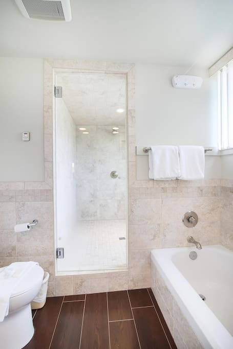 newly renovated bath with Steam shower