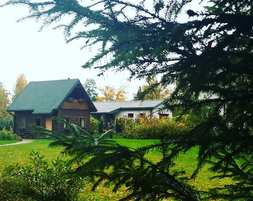 A sight from the garden.