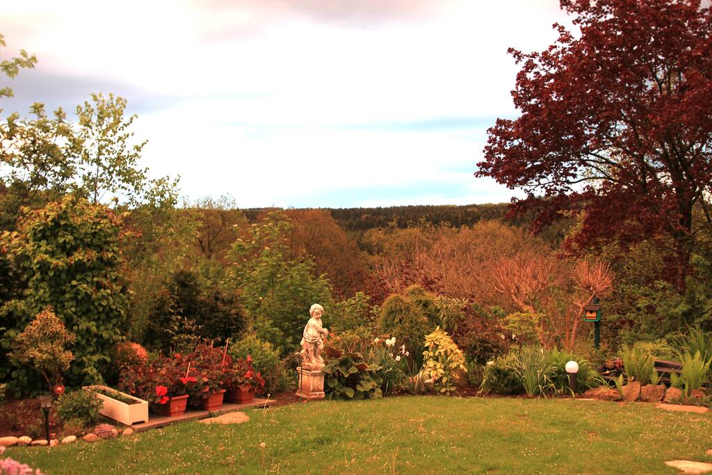 Blick in den Garten
