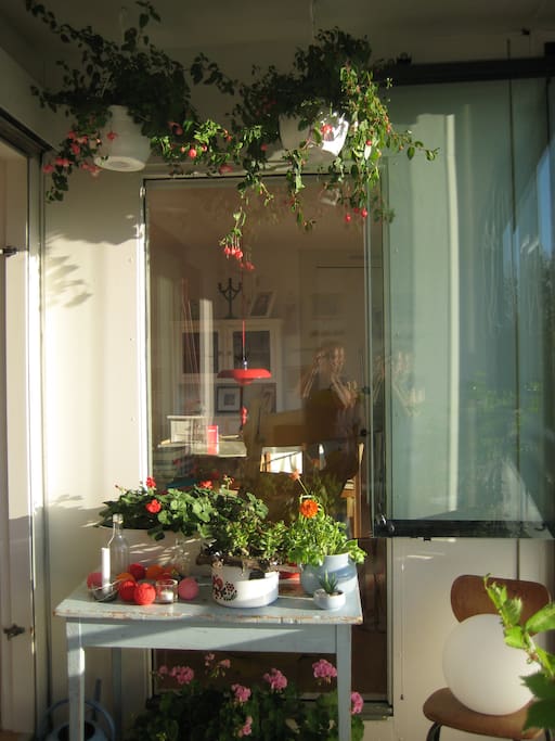 Hyggelig terrasse med en masse planter
8 M2 terrace with a long window to open or keep closed in stormy weather