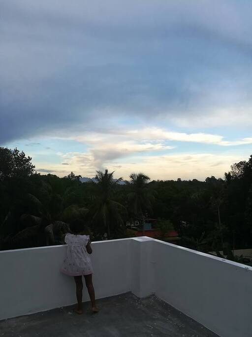 view from terrace