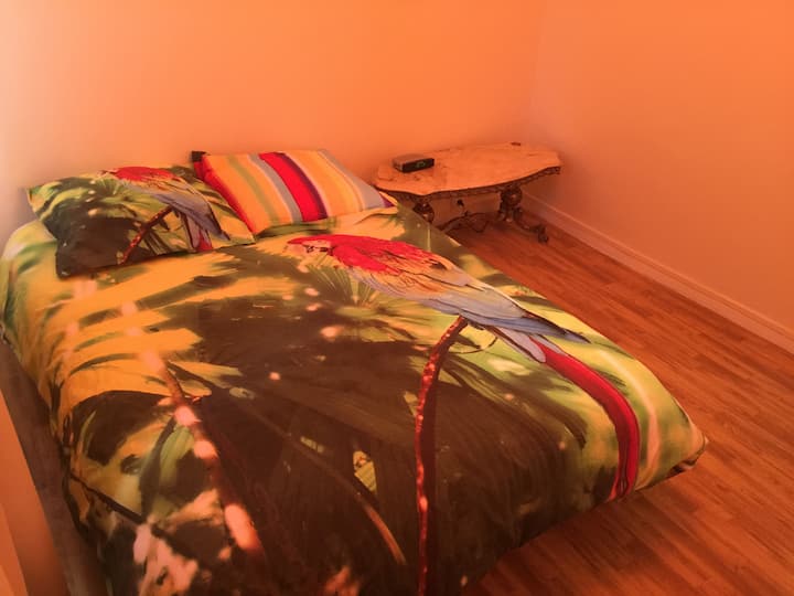 Бројни масички за кафе за да ги поставите вашите работи