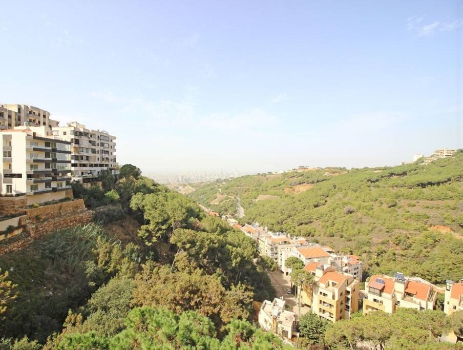 view