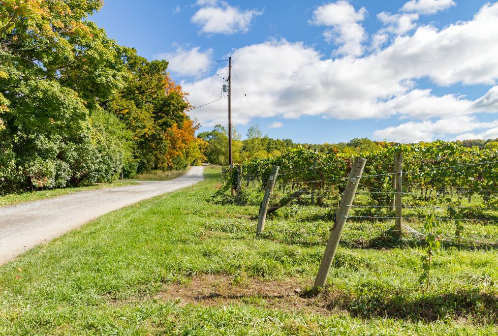 This isn't a postcard - it's the road that takes you home.