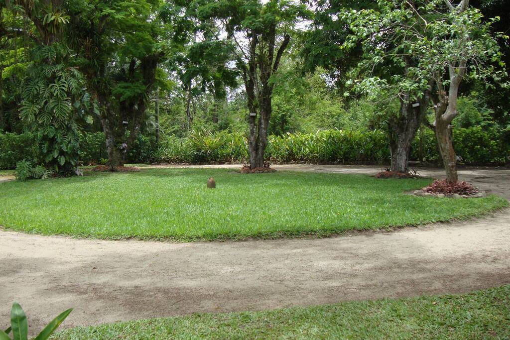 O jardim.