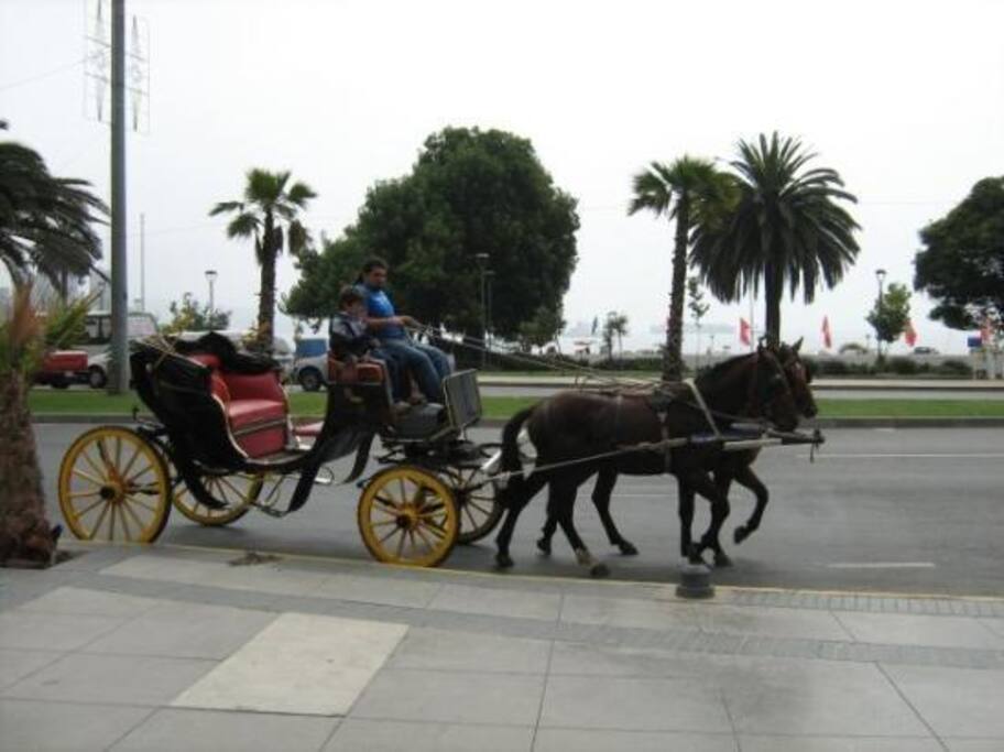 Los tradicionales paseos en victorias, típico de Viña del Mar.