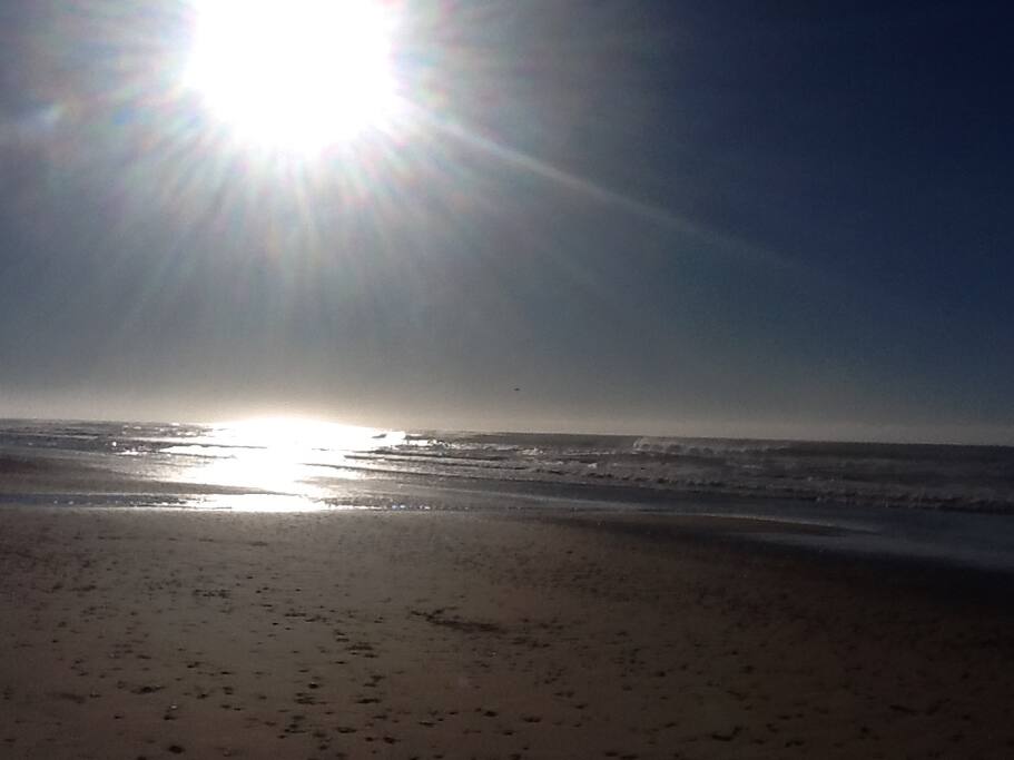 Sun glistening over the surf