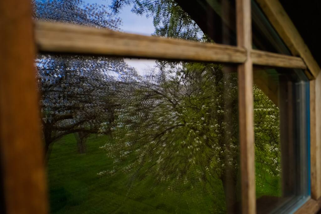 Spiegelung in einem der beiden oberen Fenster in unserer Ferienhütte.