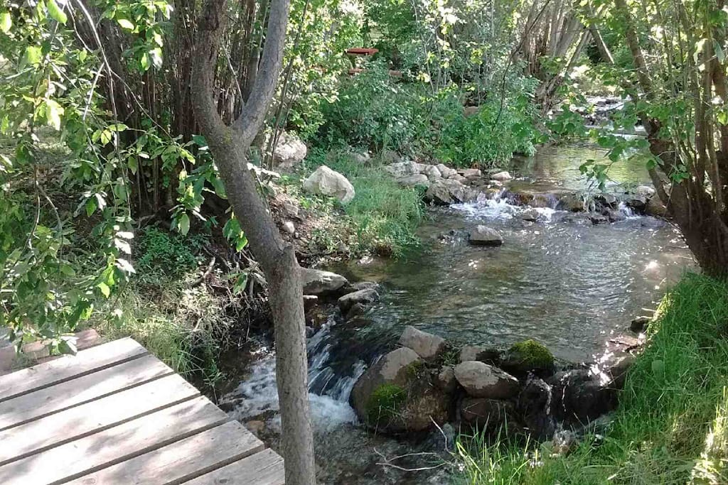 This little creek is on the same property as the sheep camp!