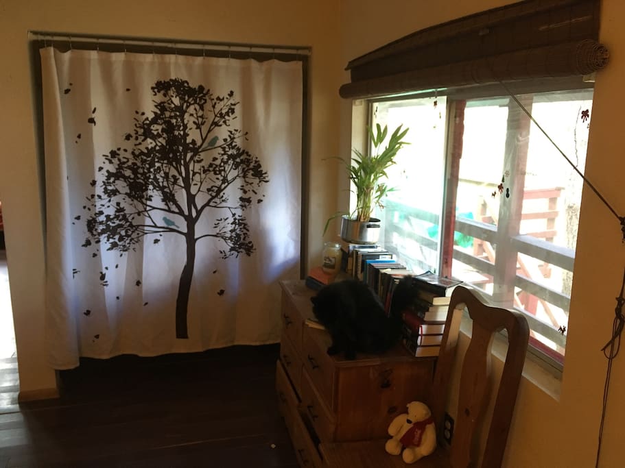Your closet and woodsy window view along with ample reading material and fresh magazines! Cat not included.
