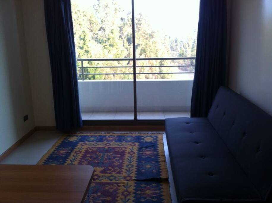 Living y terraza