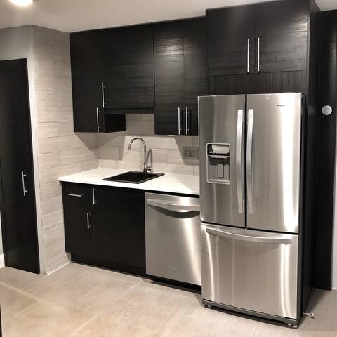 Upscale Downtown 1 QN BD/1BA Apartment (#3)