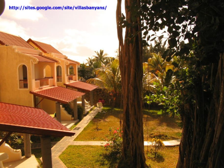 Les Villas Banyan